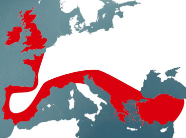 Where Did the Celts Come from?